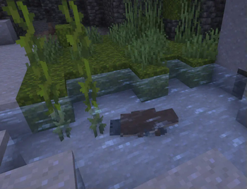 Platypus Spawn