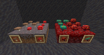 Better Mushrooms and Fungus