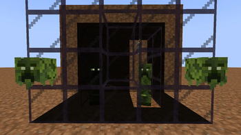 Transparent Tinted glass