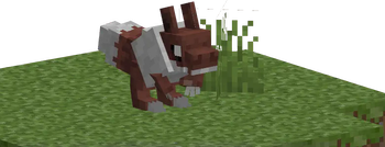 Pawleo!
