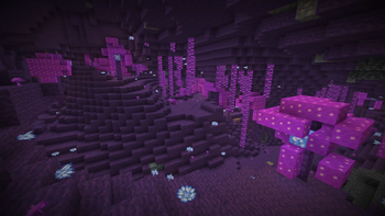 Shimmer Caves (Night Vision)