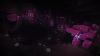 Shimmer Caves