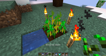 Beta 1.2.0 Spring & Summer