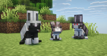 Armored Rabbits