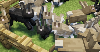 A bunch of rabbits in a pen.