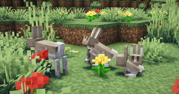 Salt and pepper rabbits in a meadow.