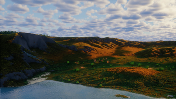 Meadow