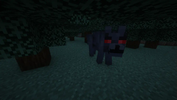 Black Wolf