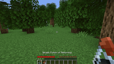 Potion of Returning
