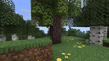 Azalea Wood