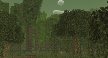 Swamp