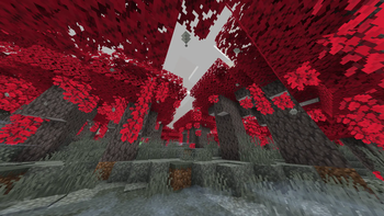 Additional Screenshot 1