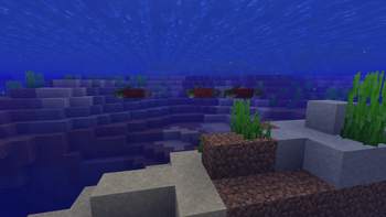 River Salmon