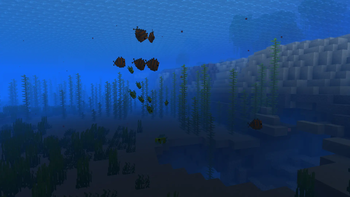 Improved Fish Swimming