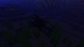 Squid