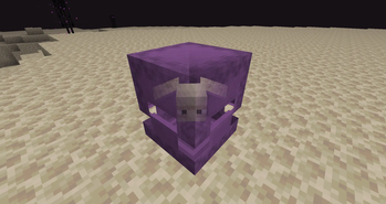Shulker