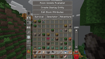 Support for Axiom