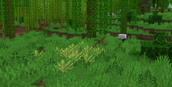 Wild Hemp