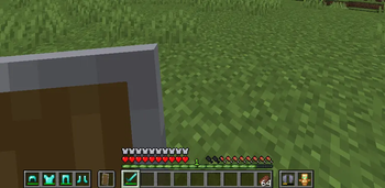 charm of undying & elytra slot