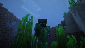 Turtle Armor