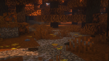 Autumn Forest