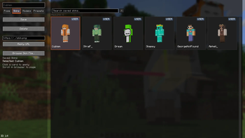 Skins Screen