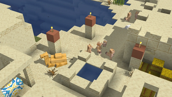 Desert Village