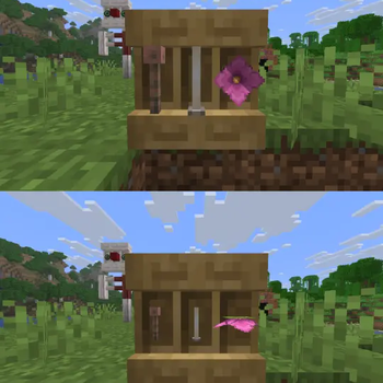 After(top) / Before(bottom)