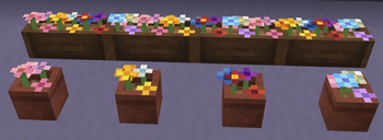 Potted Wildflowers