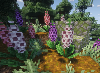 Foxglove Patch