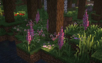 Forest Flowers