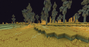 end wilds