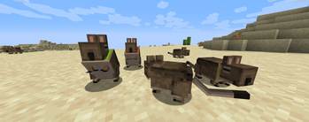 Degus