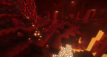 3D and variated nether fungi
