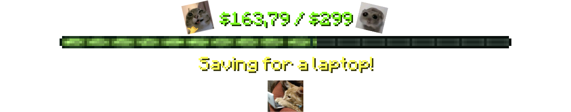 Saving for a laptop!