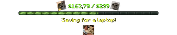 Saving for a laptop!
