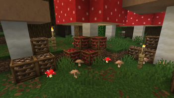 Mushroom Crates