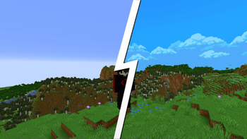 Before/After