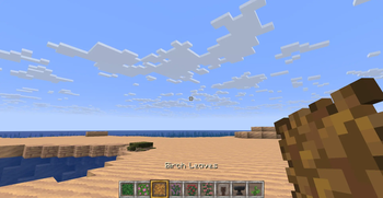 some 2D items