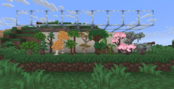 larger saplings stages