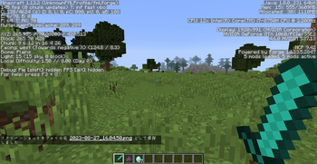 Minecraft 1.12.2 Debug Menu