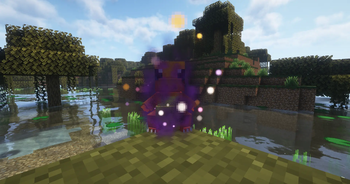 Shadow Charmander