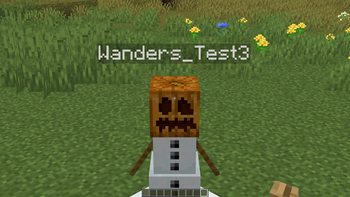 Another example With Resource-Pack