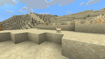 Gold Rabbits