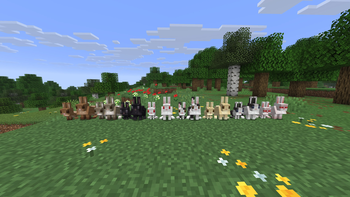 Every Rabbit with Eyes Over Here! applied