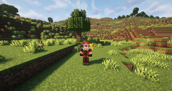 Trainer Red