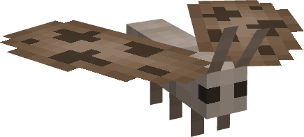 Moth