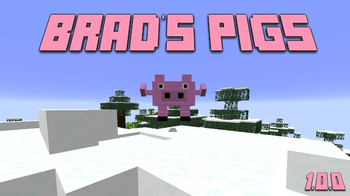 Brad's Pigs