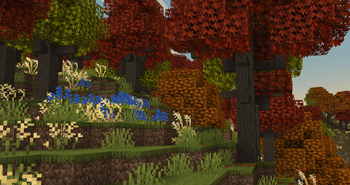 Maple Forest
