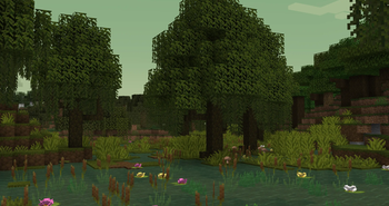 Wetlands